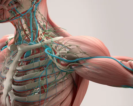 Isokinetic Dynamometry
