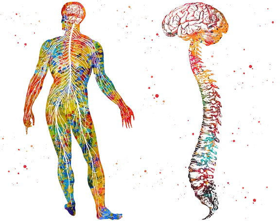 Osteopath Treatment in Chennai