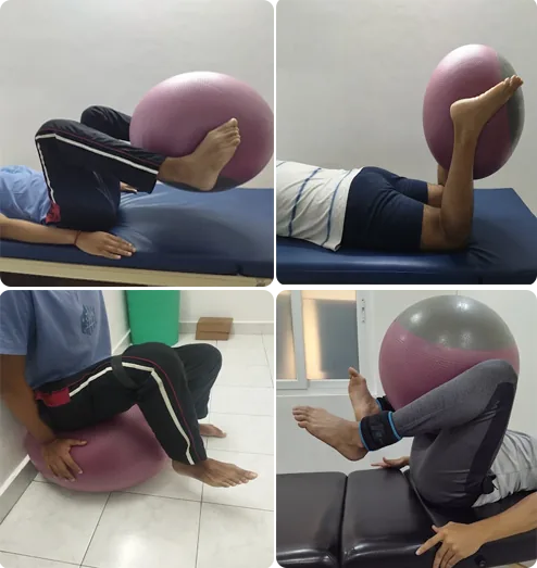 Therapeutic Exercise Program